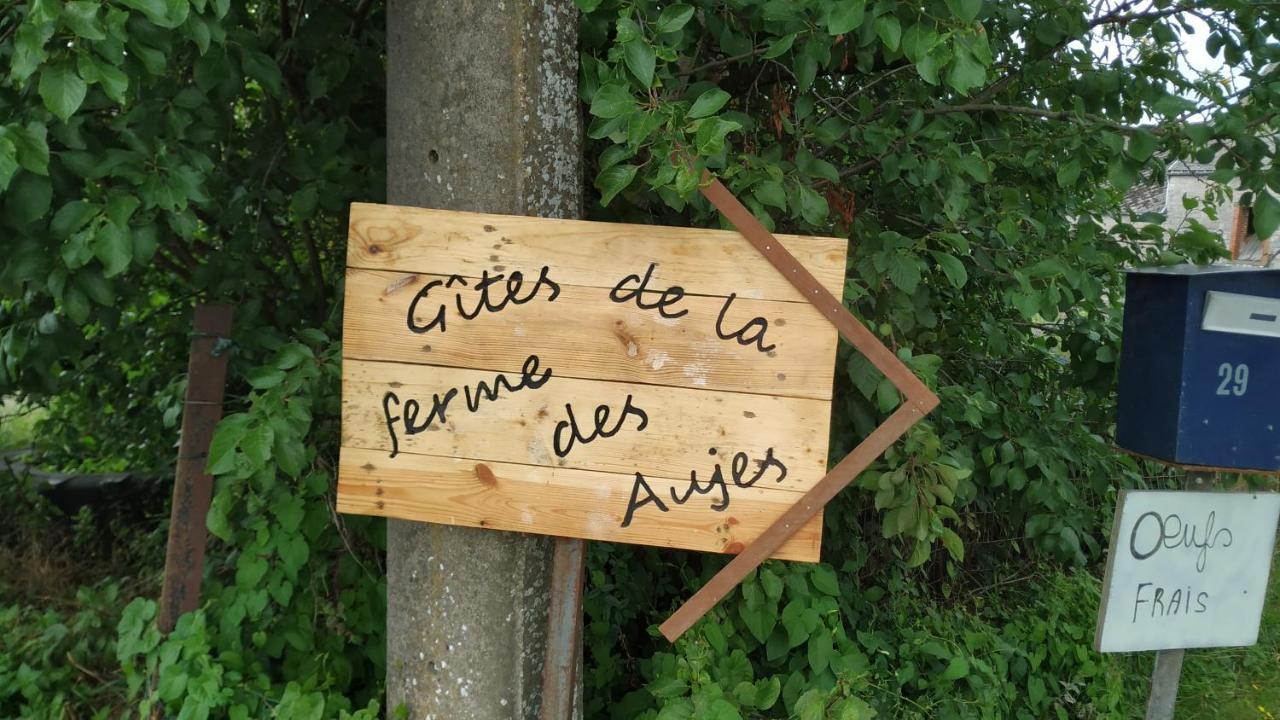 Gite Familial Ferme Des Aujes Falaen Onhaye Eksteriør billede